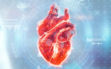 Dia Mundial do Coração: conheça as principais doenças cardiovasculares