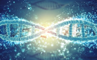  Entenda o que é trissomia!