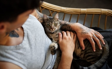 Esporotricose: entenda a doença que afeta humanos e animais