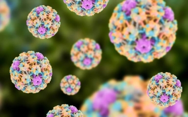 HPV: entenda a importância da prevenção!