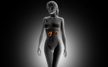 Saiba a importância do exame de ureia!