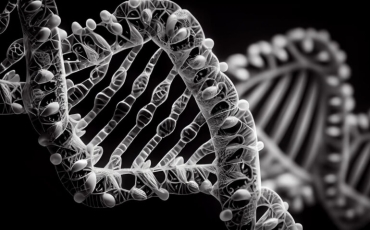 Saiba o que é a Síndrome de Patau