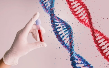 Saiba o que é a Síndrome do X Frágil!