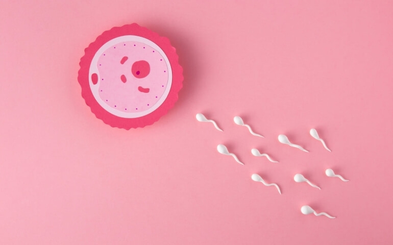 Anti-mülleriano: um importante exame para quem planeja engravidar!