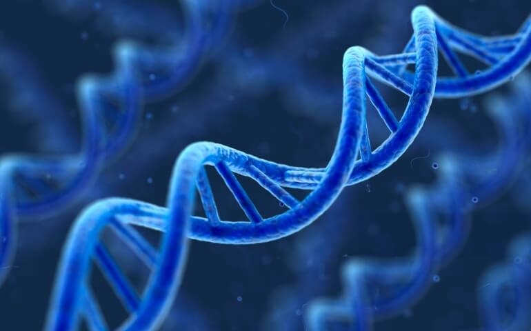 É possível realizar Teste de Paternidade após o falecimento do suposto pai?