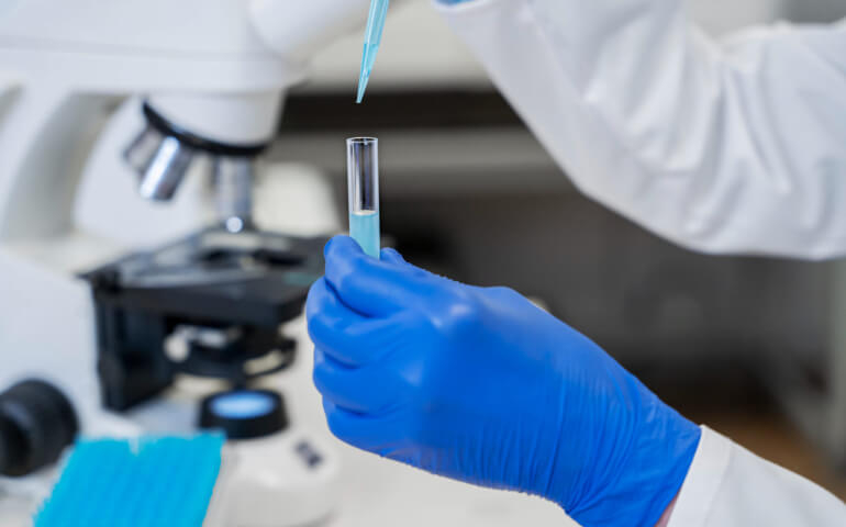 Por quanto tempo os exames laboratoriais são válidos?